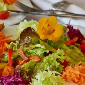 The Plant Based Diet